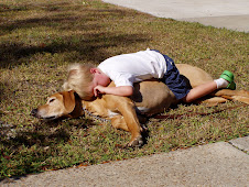 Love is a ridgeback pillow