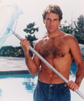 mark harmon st elsewhere mark harmon st elsewhere