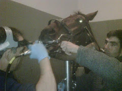 El Cigala visita al dentista