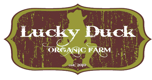 Lucky Duck Farm