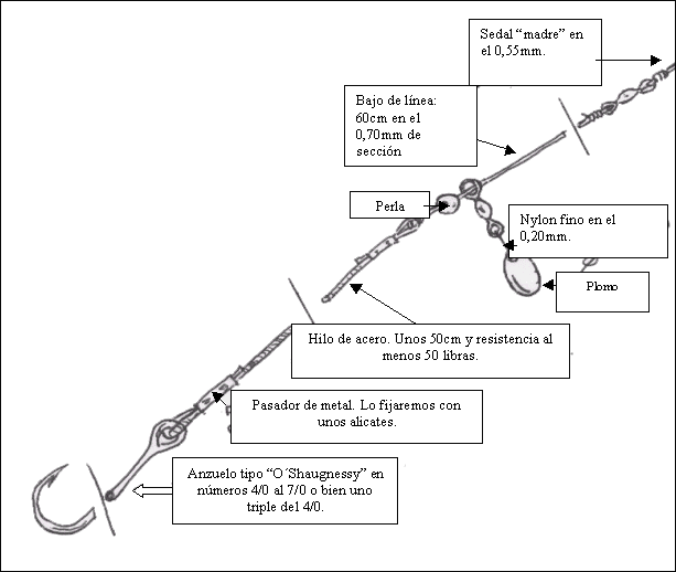 [aparejo+para+congrio.gif]