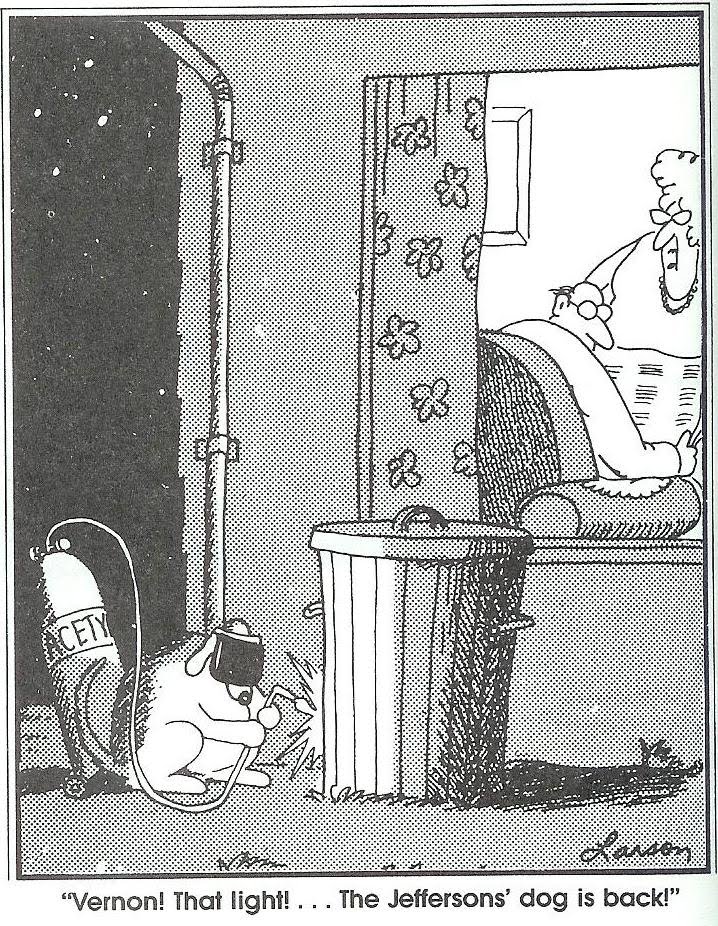 Far Side Dog