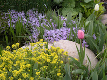 Spring Awakening in Bob's Garden