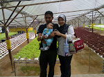 Cameron Highlands