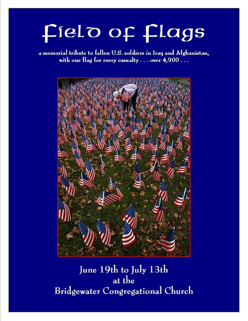 field of flags poster