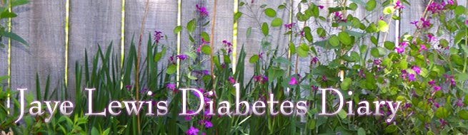 Jaye Lewis Diabetes Diary