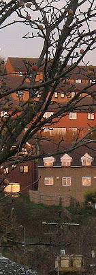 click to enlarge picture