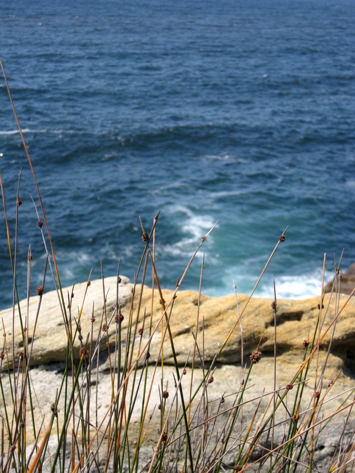 [IMG_8548.JPG]