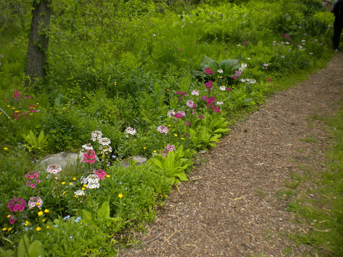 Sherri's Jubilee The rest of Day 4 in NJ