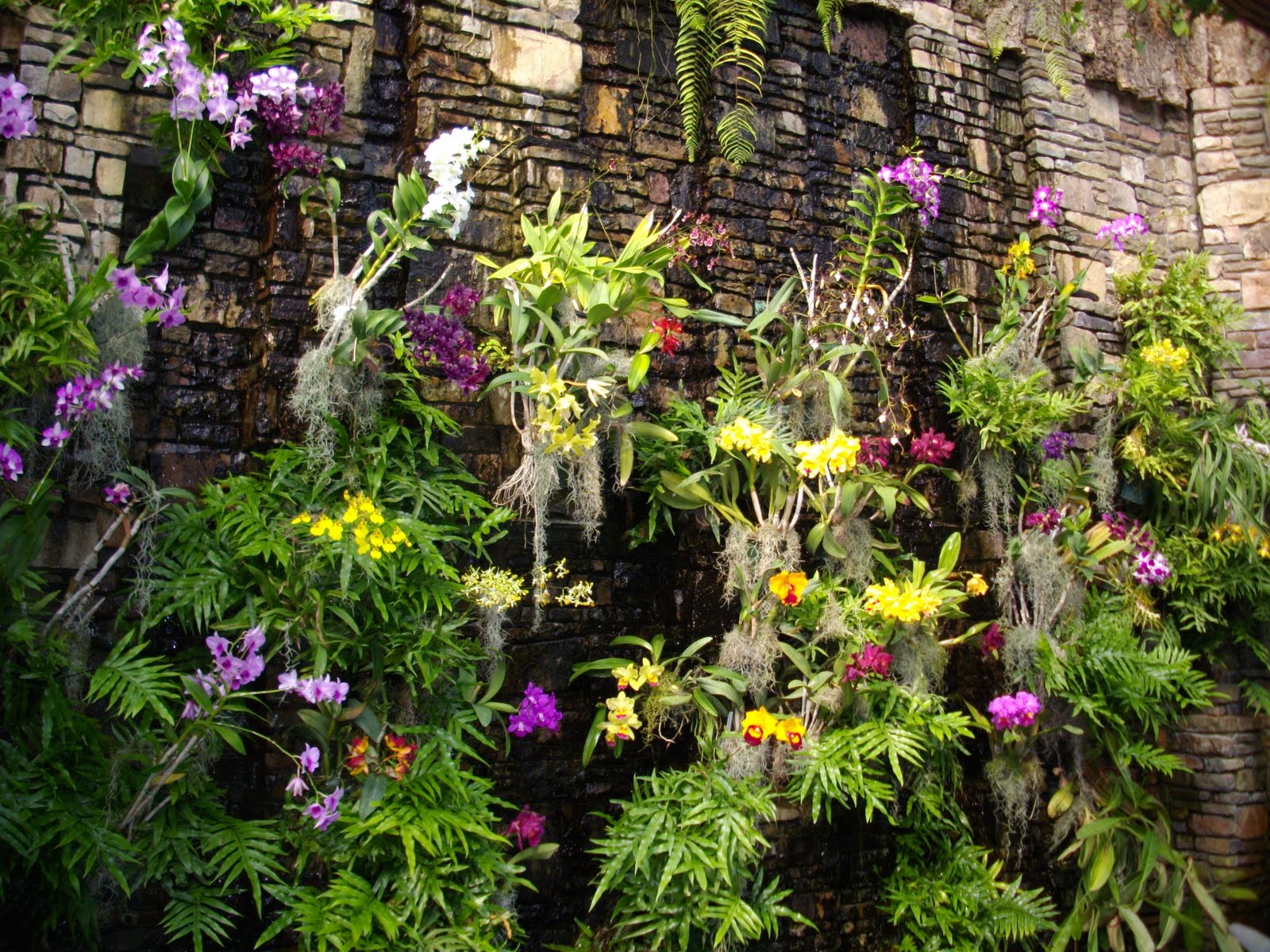 Sherri's Jubilee Pictures of the Botanical Garden Visit