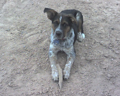Mollie