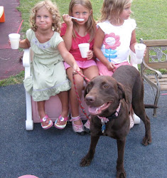 3 Girls and A Dog