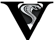 logo medivetpet