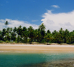 Coral reef  pool at Algodoes Beach