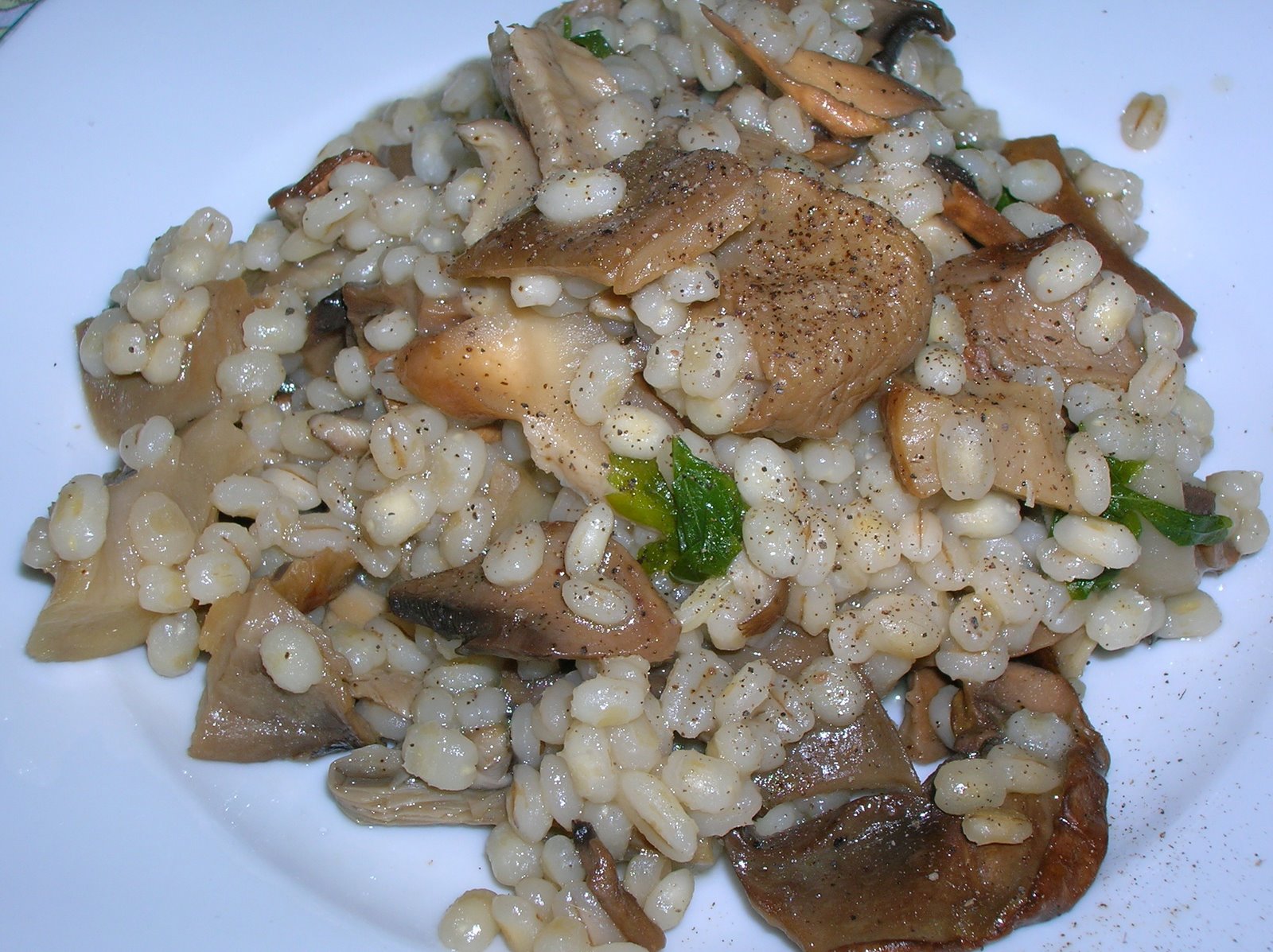 [Orzotto+con+i+funghi.jpg]