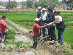 VISITA A LOS CAMPOS EXPERIMENTALES DEL PROYECTO