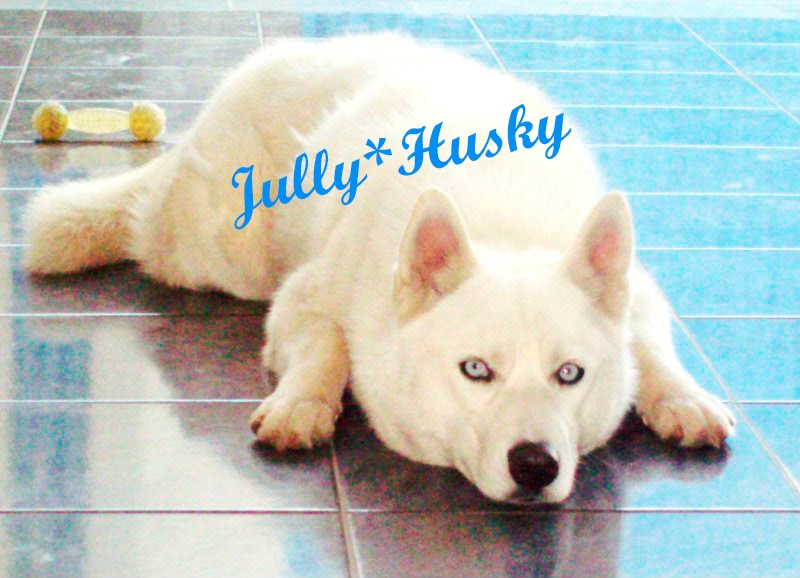 Jully*Husky
