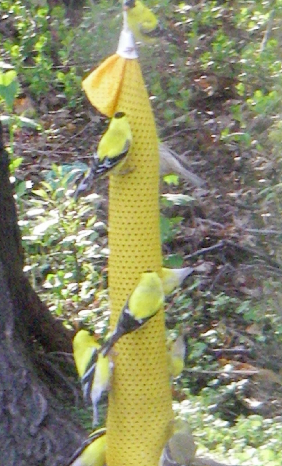 [IMGP2155.JPG]