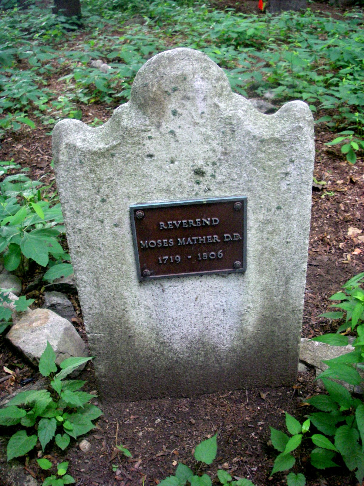 [IMGP4227.JPG]