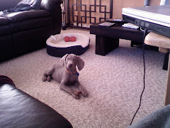 Ranger with his little bone