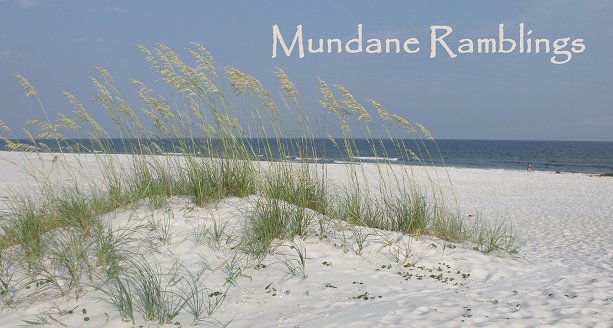 Mundane Ramblings
