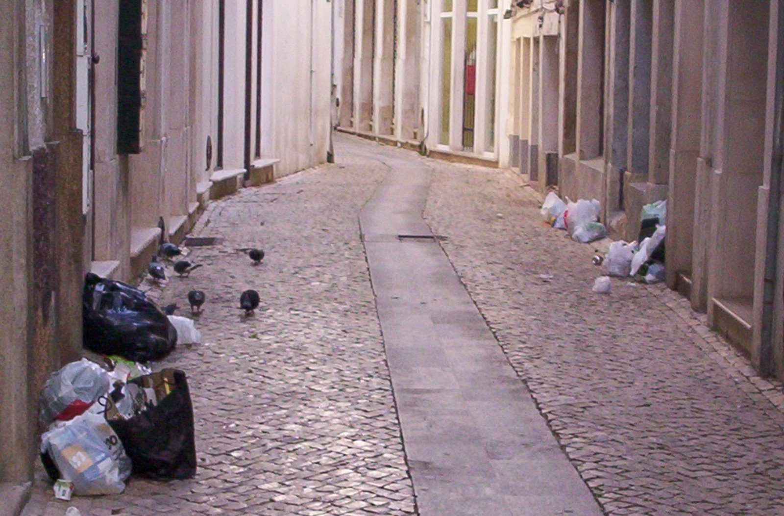 [Imagem+3051.jpg]