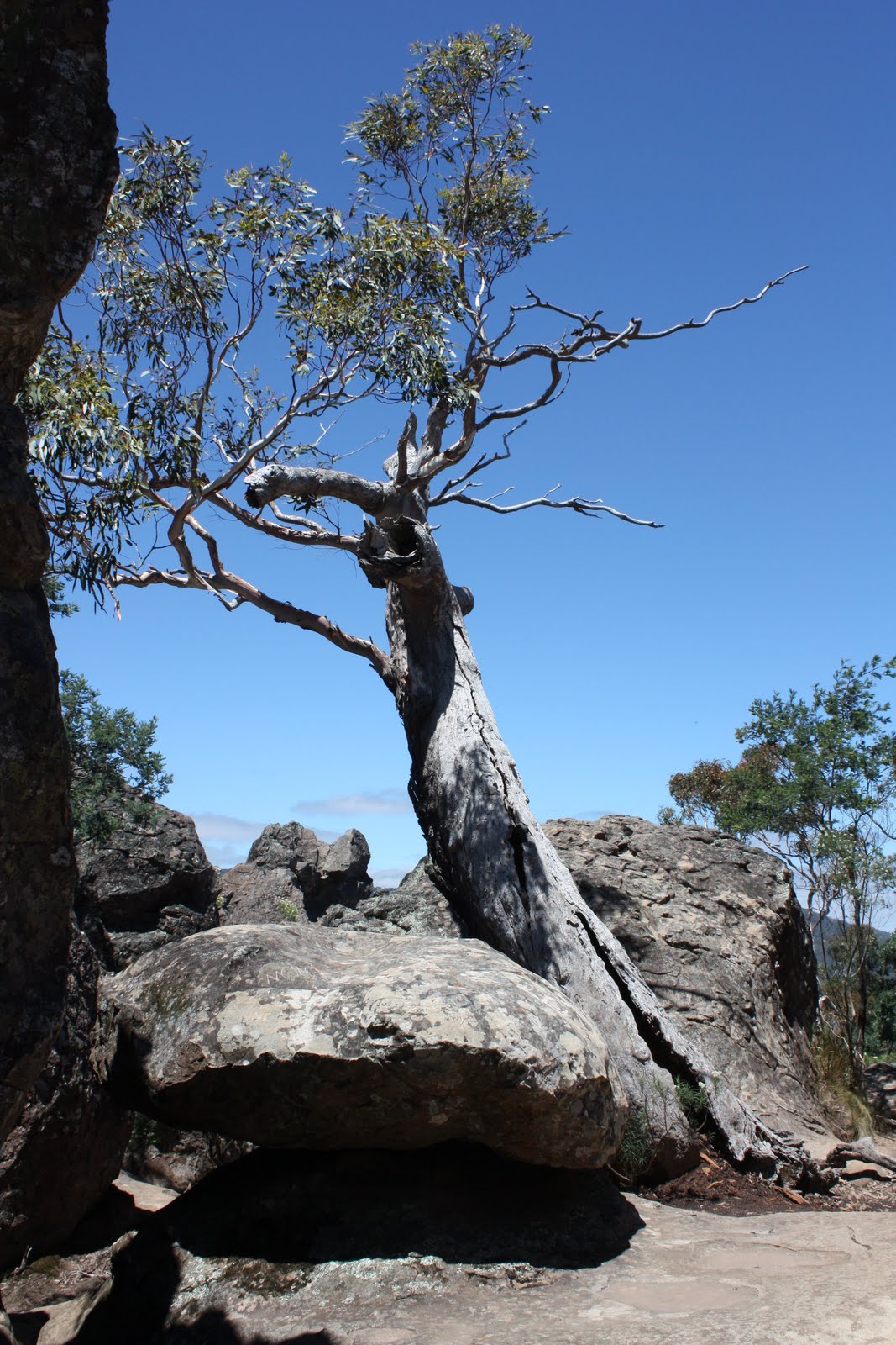 Hanging Rock Mystery