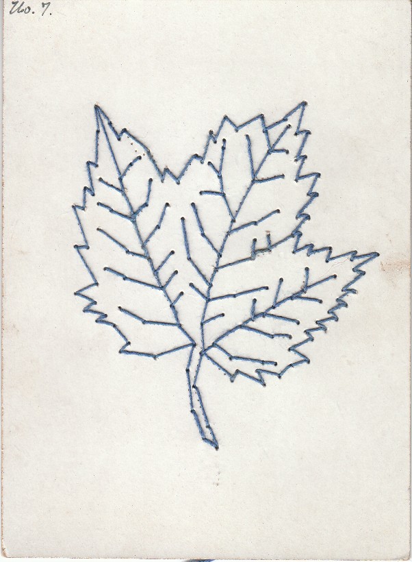 [leafb.jpg]