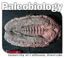 UCR Paleobiology