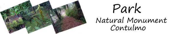 Inform you of each station of the Natural Monument Contulmo
