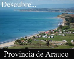 Conoce la Provincia de Arauco, Región del Bío-Bío, Chile.