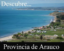 Volver a pagina anterior