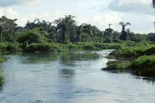 Medieval African Nigeria River