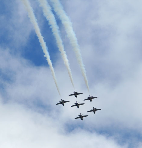 [snowbirds10.jpg]