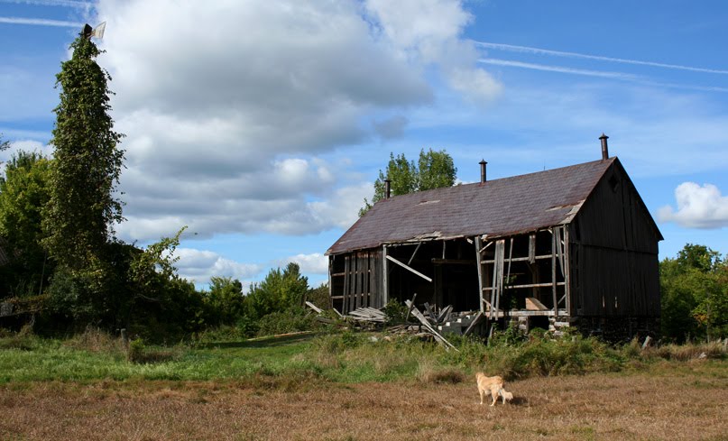 [beckshorebarn.jpg]