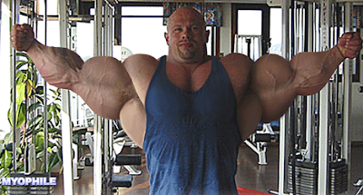 5 Incredibly Useful the effects of steroids Tips For Small Businesses