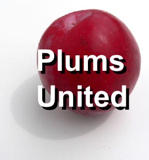 Plums United
