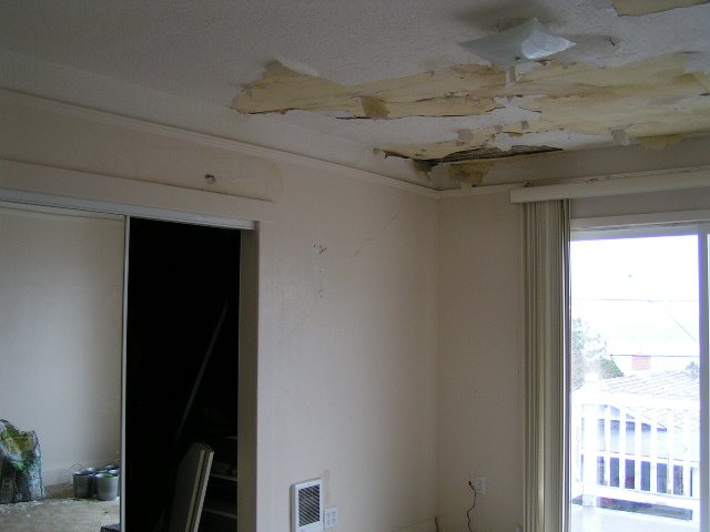 [PICT0017.JPG]