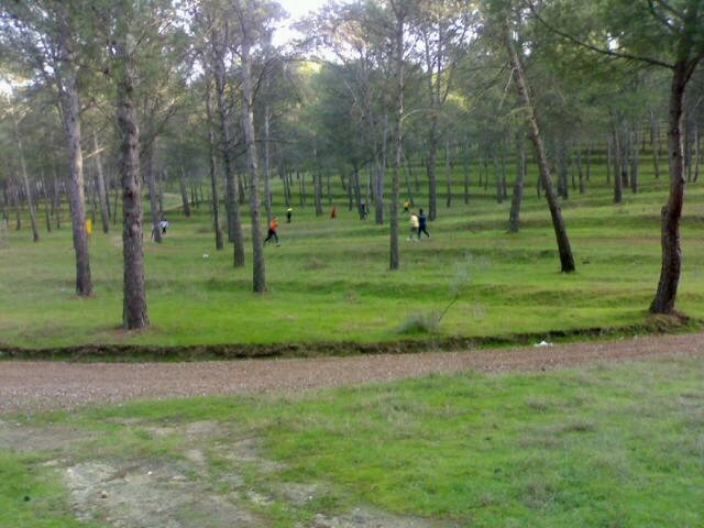 [Vista+general+circuito.bmp]