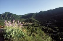 toscana