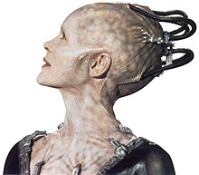 Borg Queen - La sordida