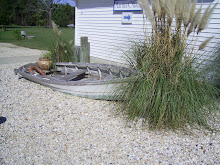 Fishing Bay Harbor Marina