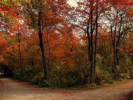 Have you reached a fork in the road?