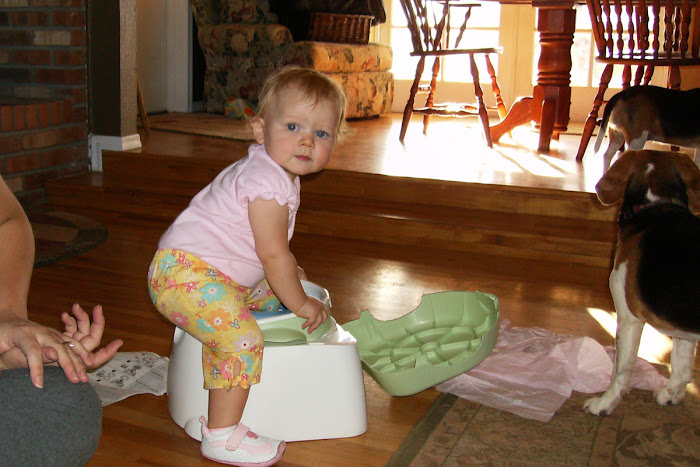 My new potty chair..not quite sure what this is all about, but fun to climb on!