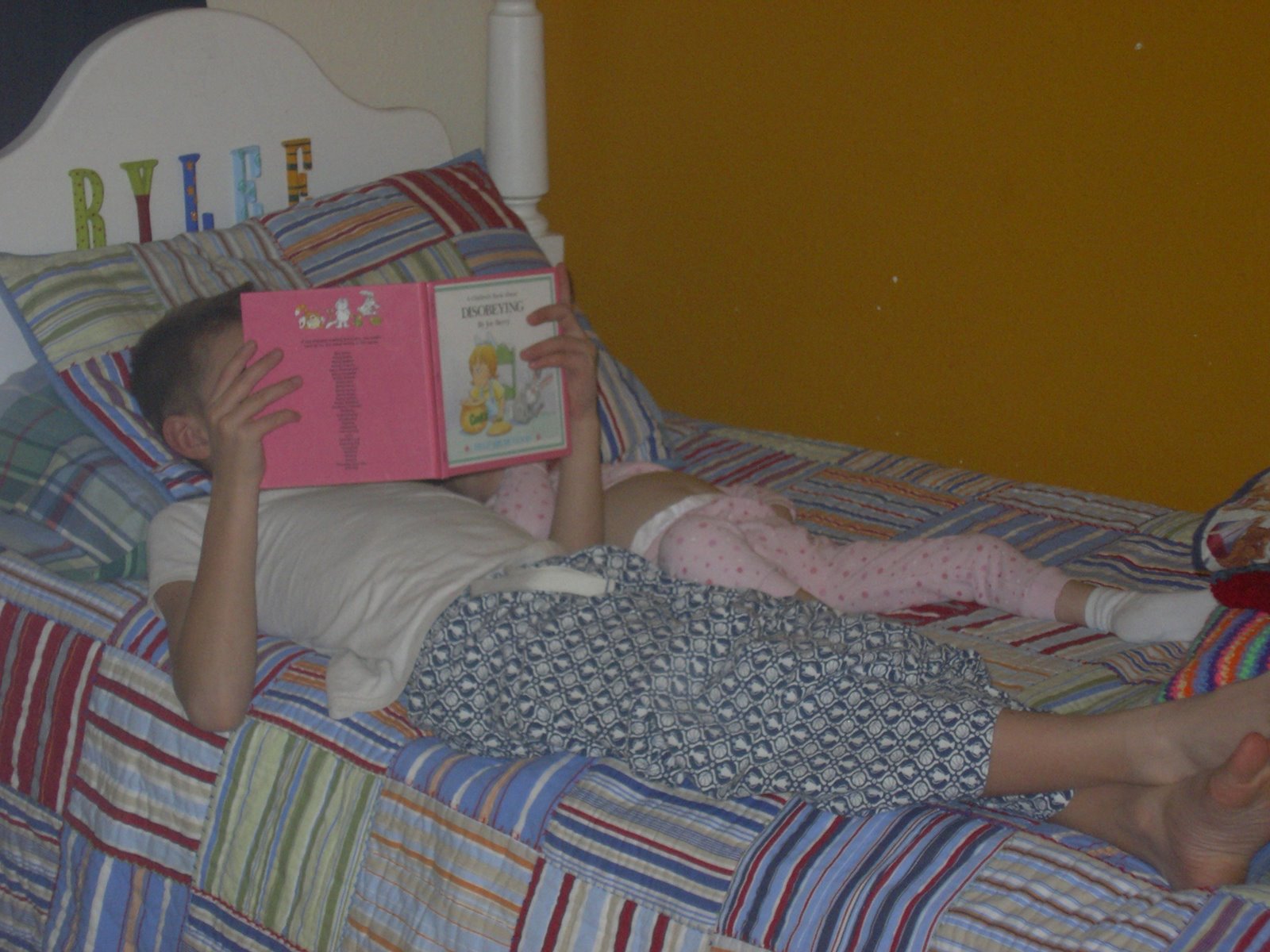 [IMGP0090.JPG]