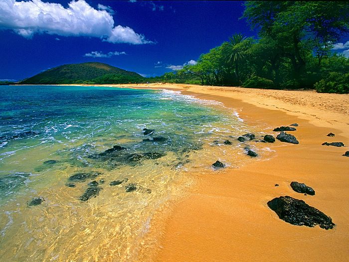 [Big+Beach+Maui+Hawaii.jpg]