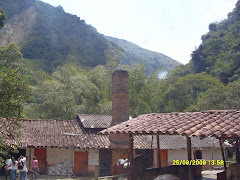 actividades productivas en el área de influencia directa de microcuenca la clara