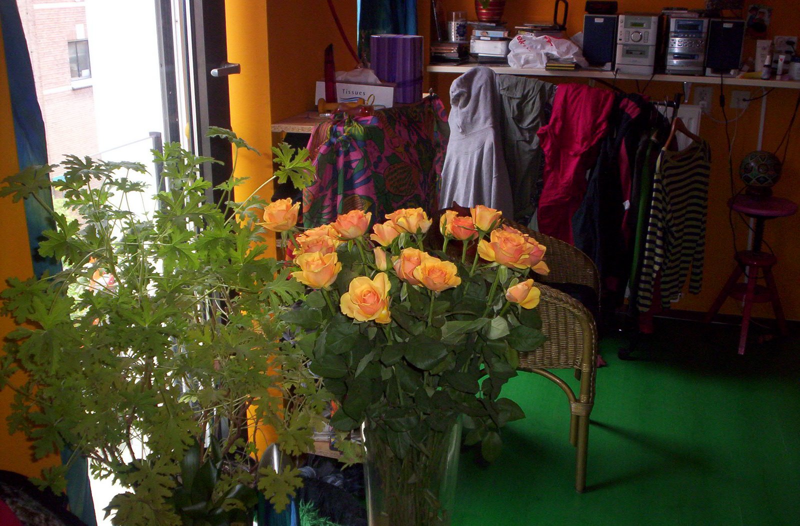 [roses+16042009.jpg]