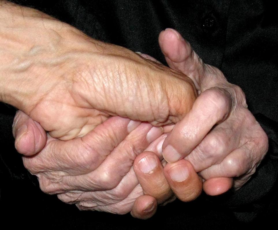 [bl-maos-aviz_3216.JPG]