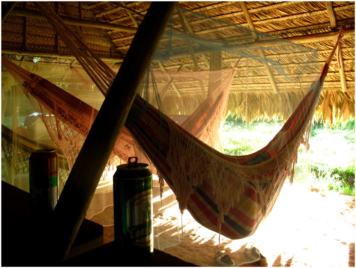 [10.02.10aCP.jpg]